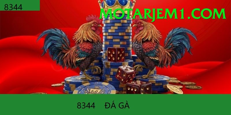 Trường Đấu Đá Gà Chuyên Nghiệp